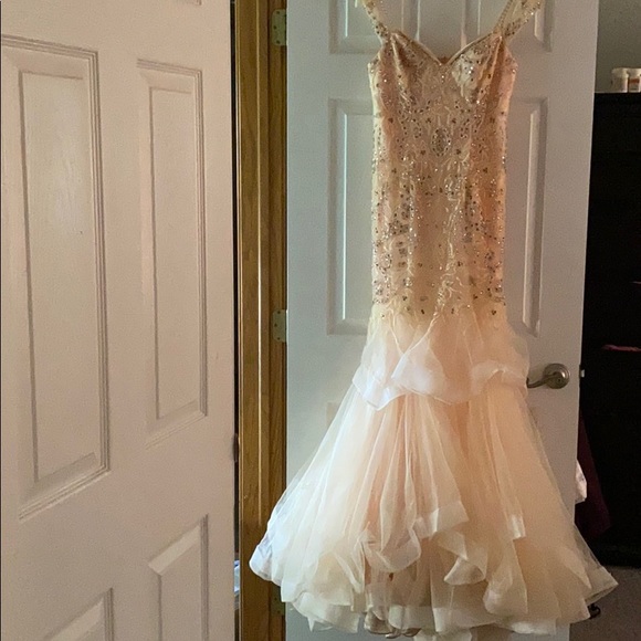 Blush Pink Evening/Prom/Ball Gown - Picture 4 of 6